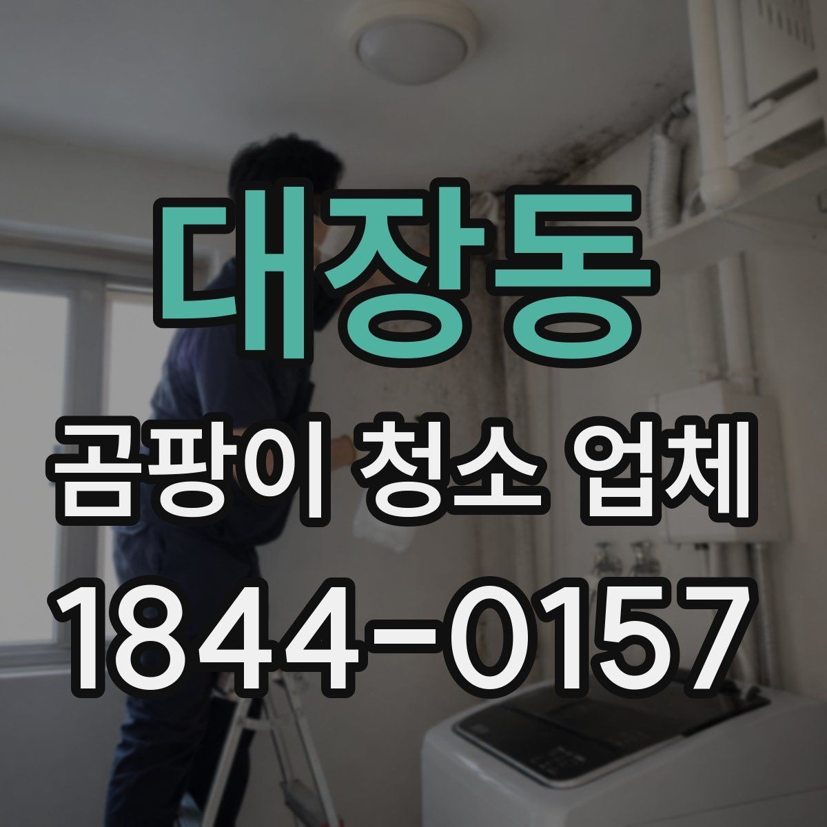 대장동 곰팡이 청소 업체 냄새와 얼룩을 함께 봐야 하는 이유