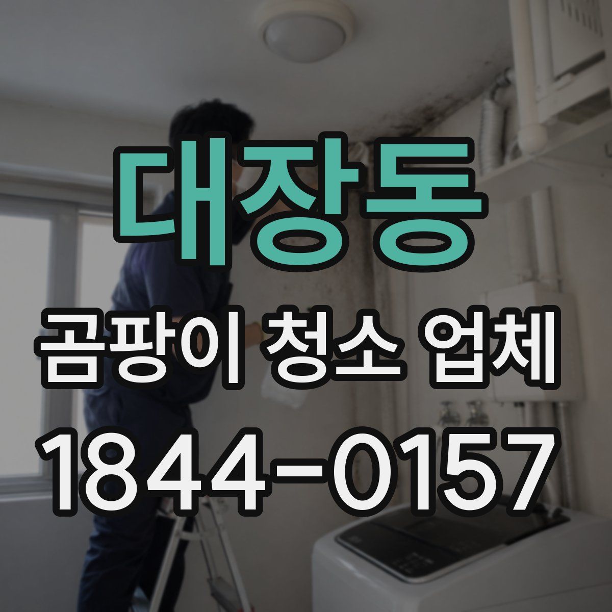 대장동 곰팡이 청소 업체