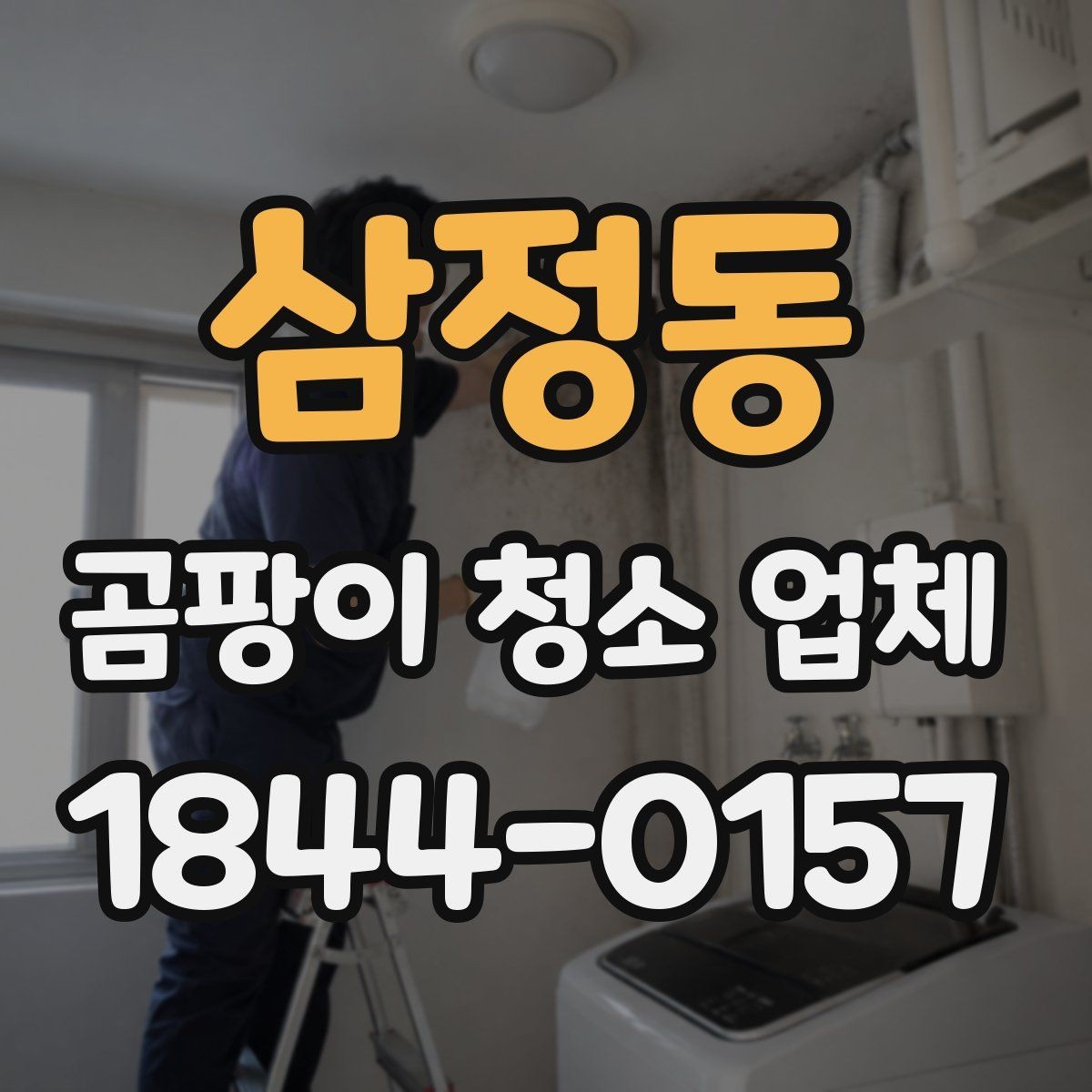 삼정동 곰팡이 청소 업체 사진으로 보는 전후 상태와 작업 범위