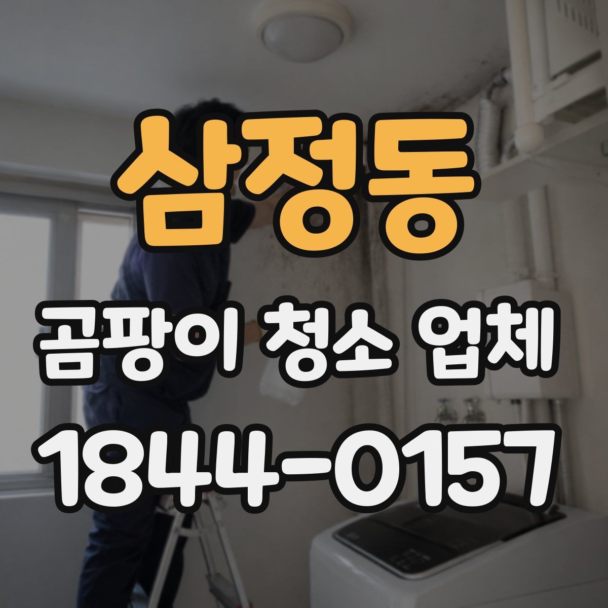 삼정동 곰팡이 청소 업체