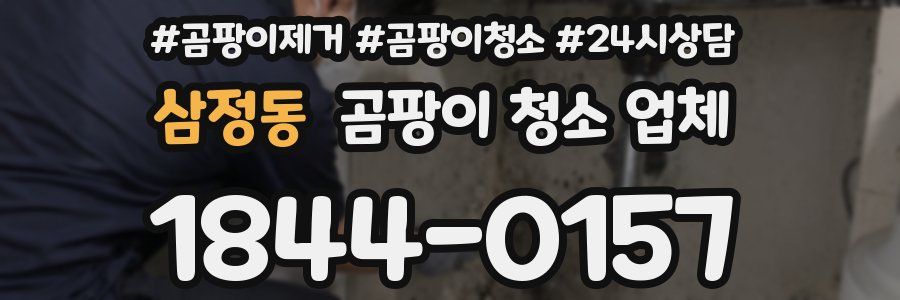 삼정동 곰팡이 청소 업체