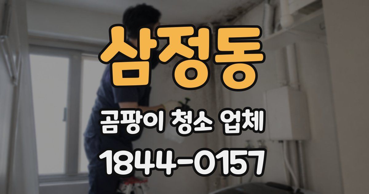 삼정동 곰팡이 청소 업체