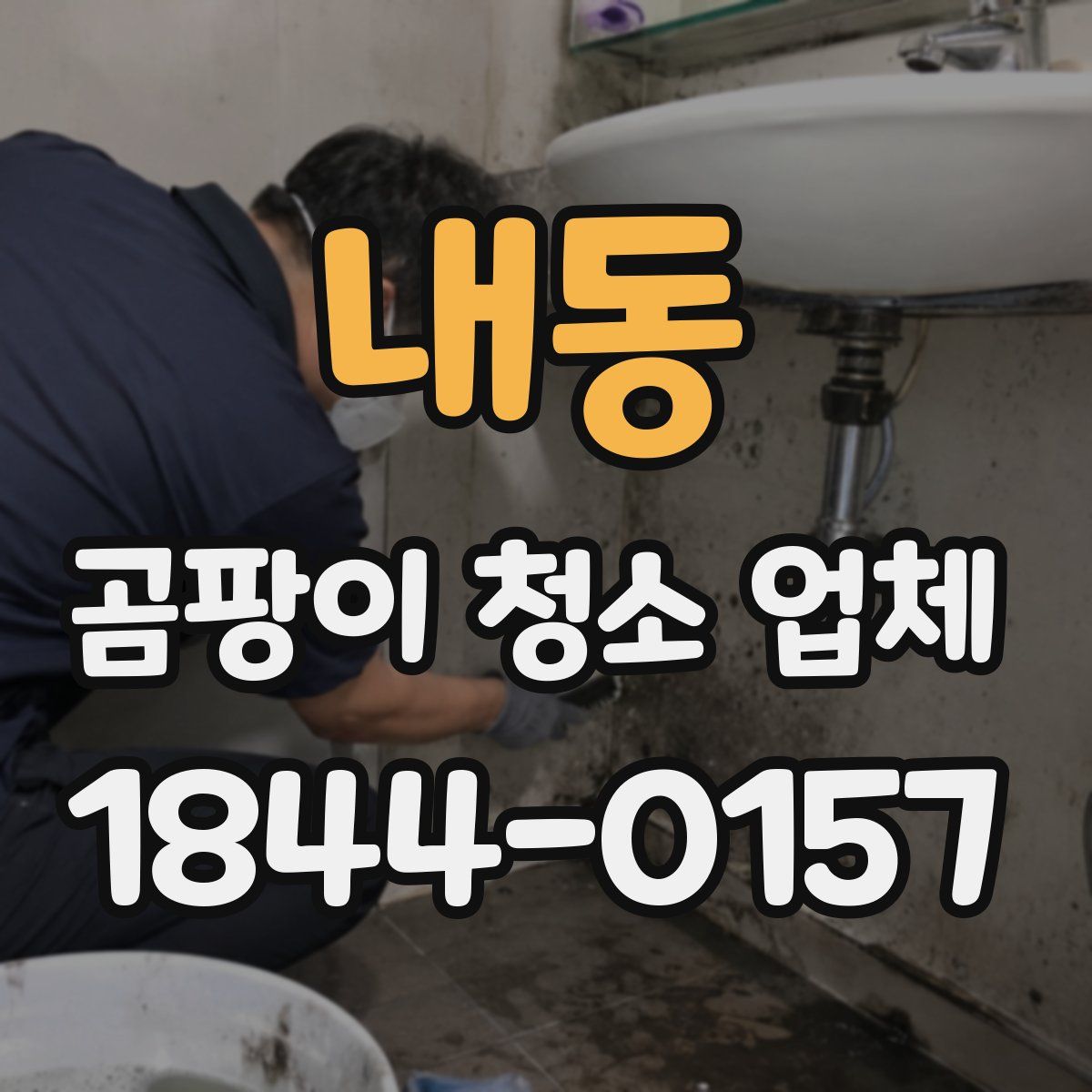 내동 곰팡이 청소 업체