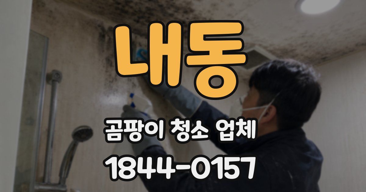 내동 곰팡이 청소 업체
