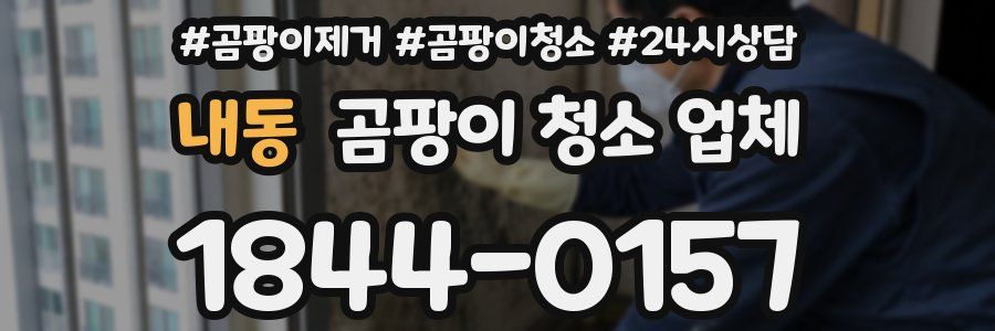 내동 곰팡이 청소 업체