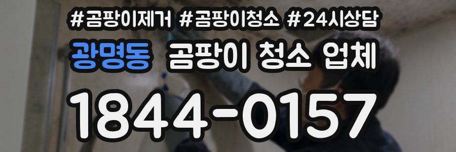 광명동 곰팡이 청소 업체