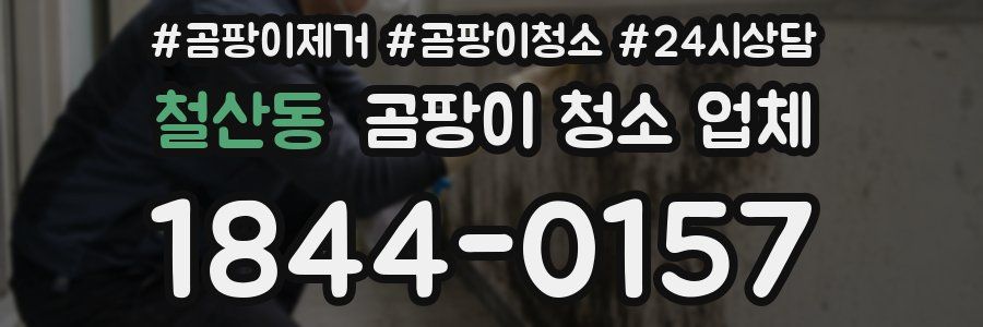 철산동 곰팡이 청소 업체