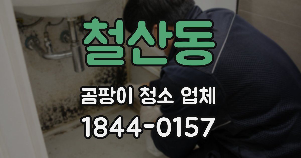 철산동 곰팡이 청소 업체