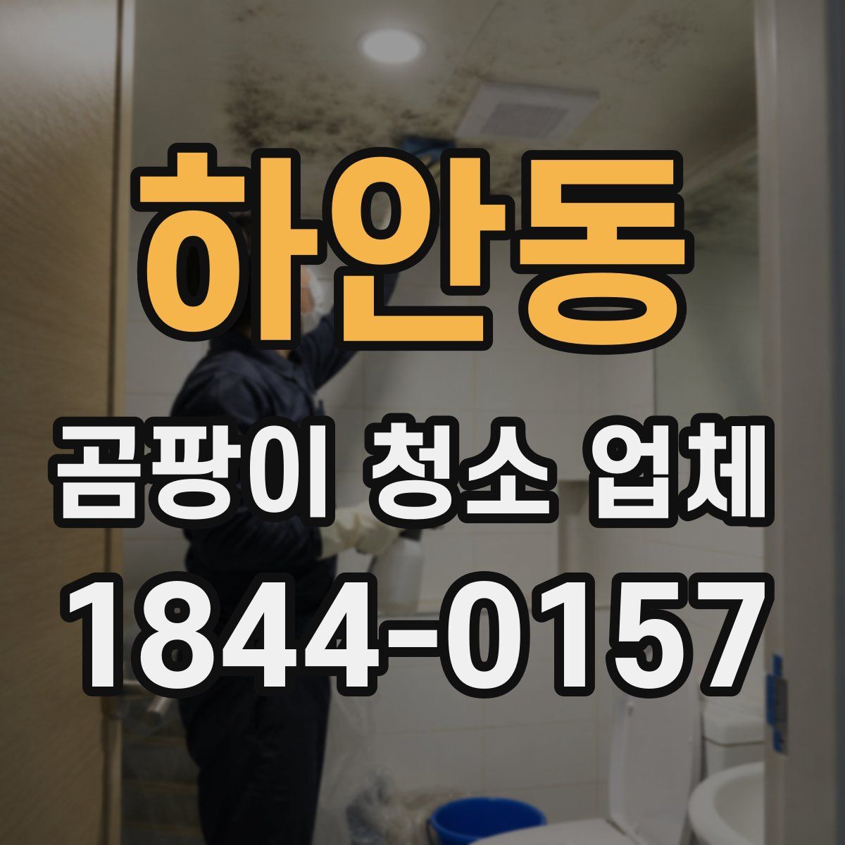 하안동 곰팡이 청소 업체