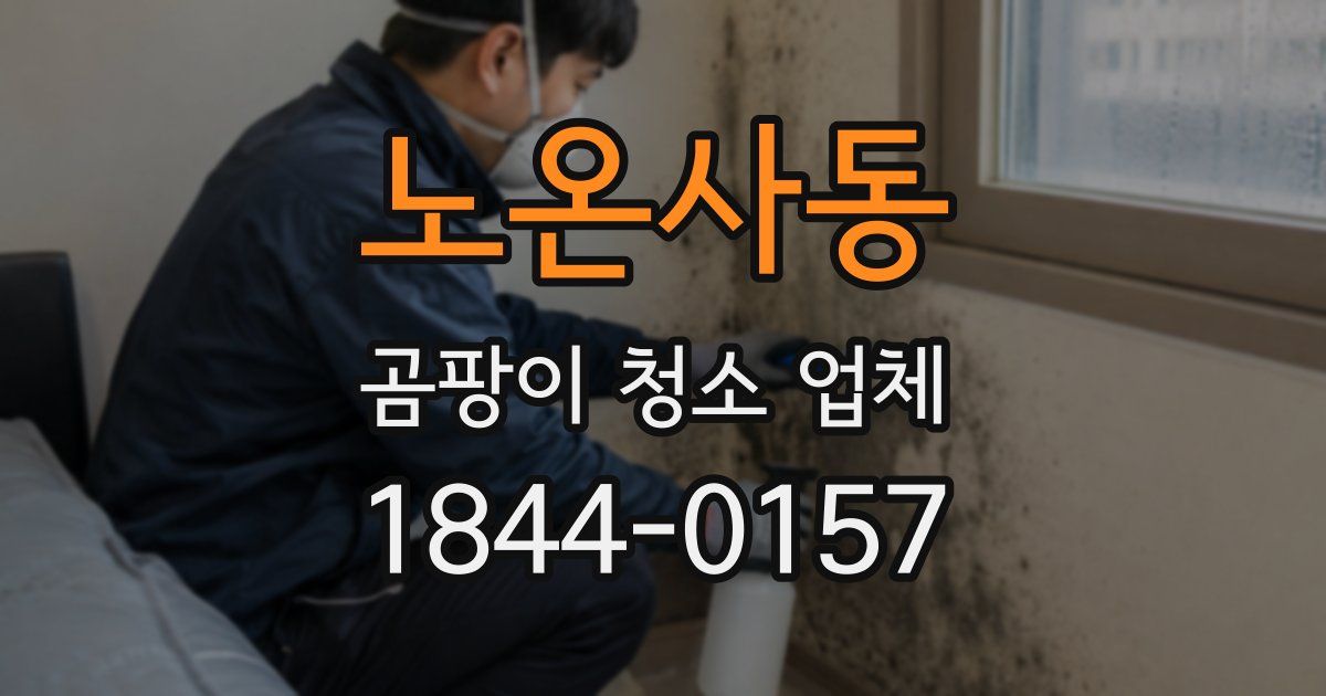 노온사동 곰팡이 청소 업체