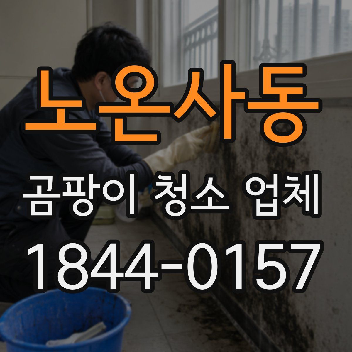 노온사동 곰팡이 청소 업체