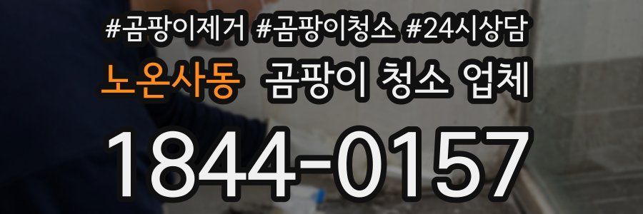 노온사동 곰팡이 청소 업체