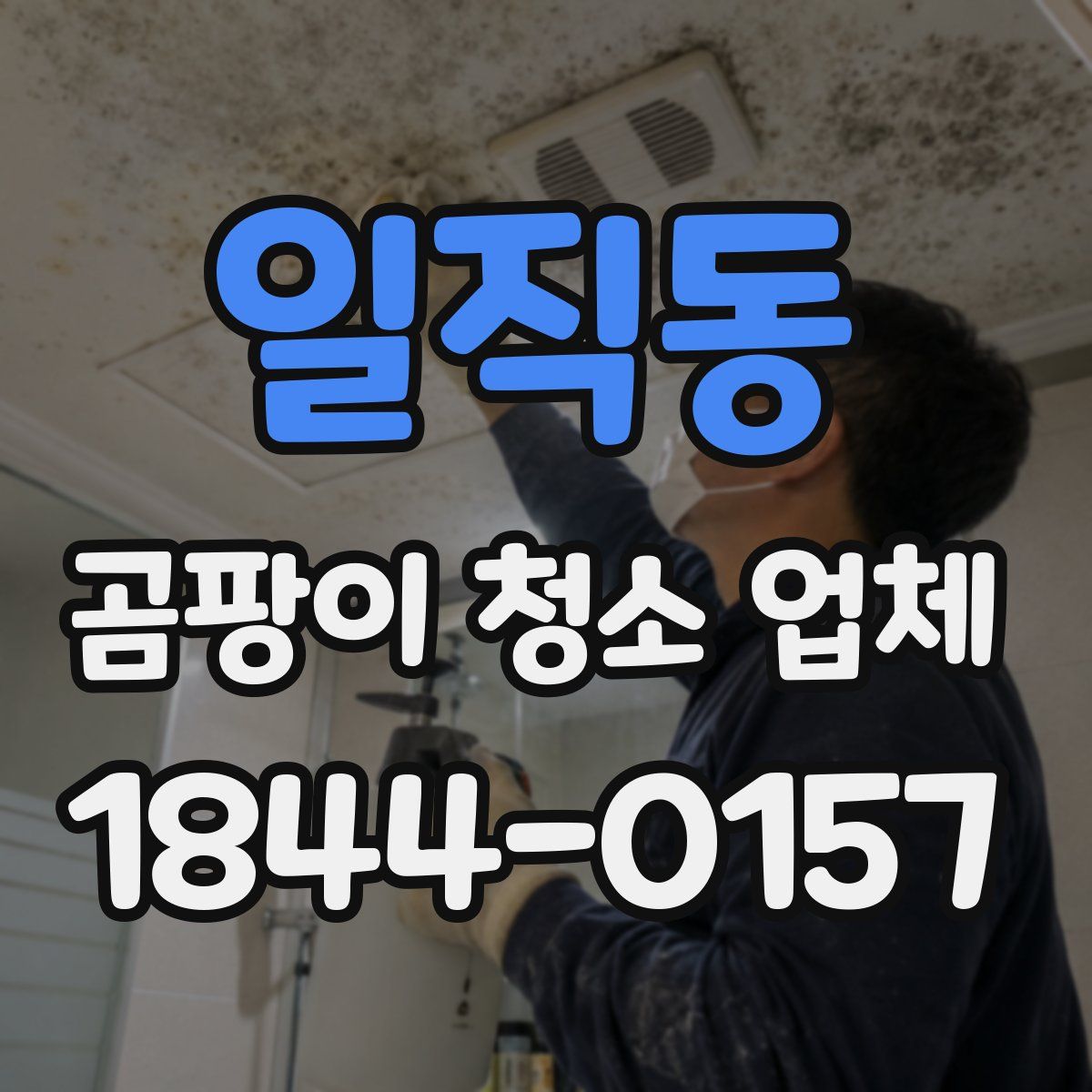 일직동 곰팡이 청소 업체
