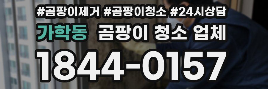 가학동 곰팡이 청소 업체