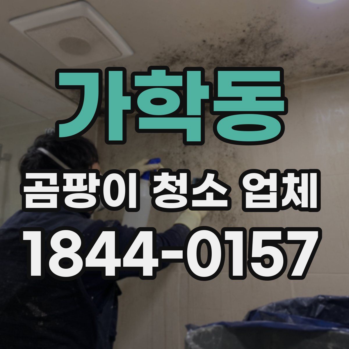 가학동 곰팡이 청소 업체