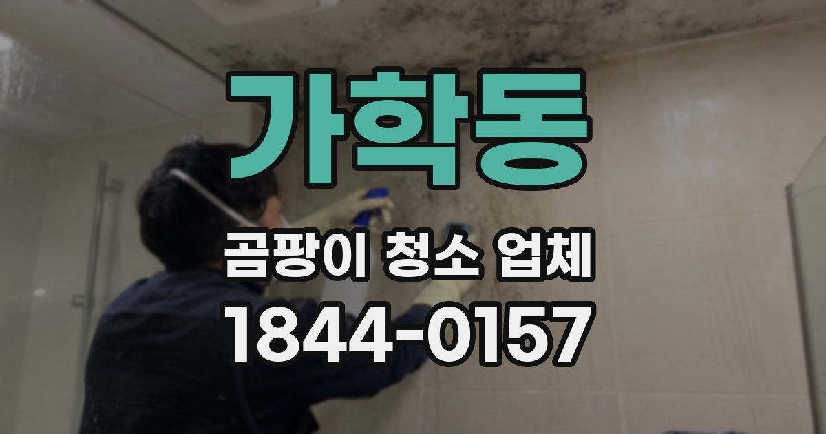 가학동 곰팡이 청소 업체