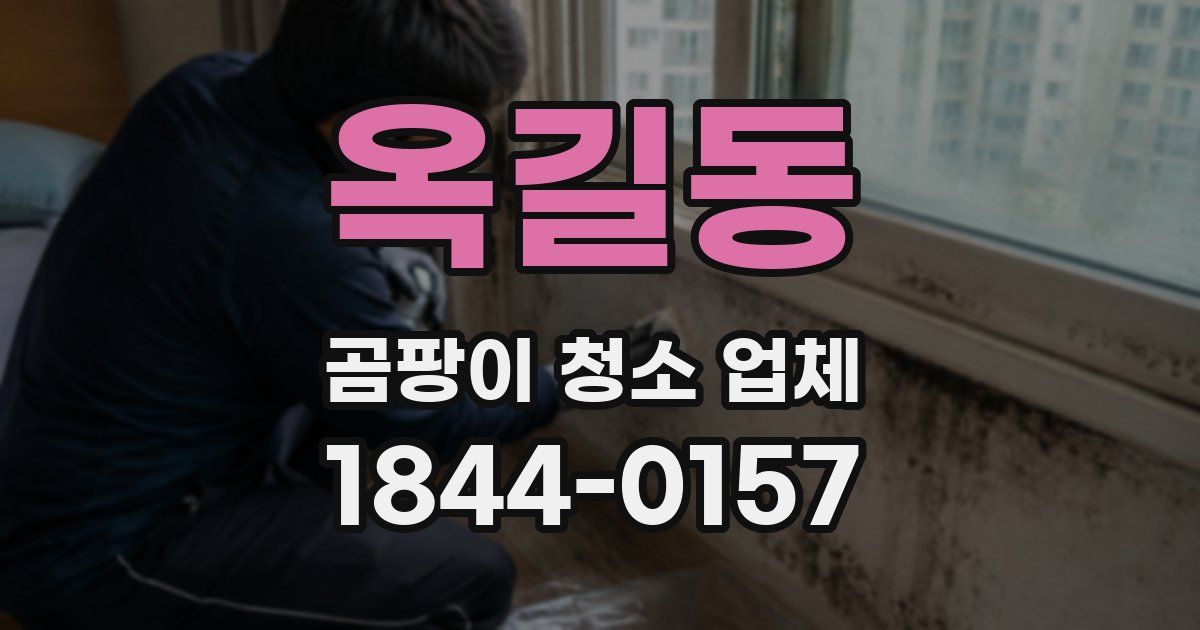 옥길동 곰팡이 청소 업체