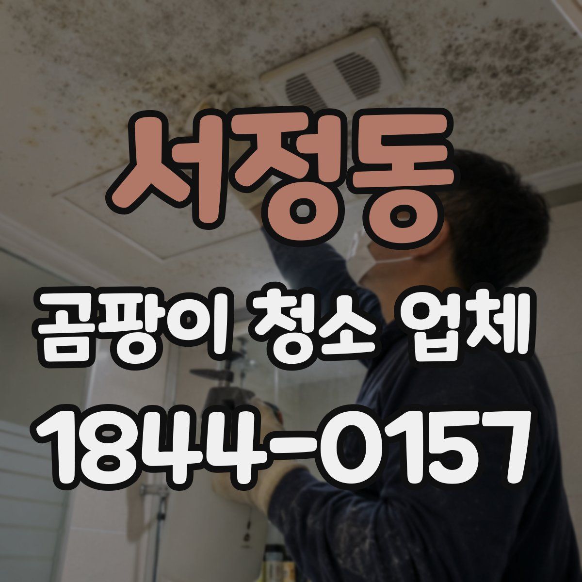서정동 곰팡이 청소 업체