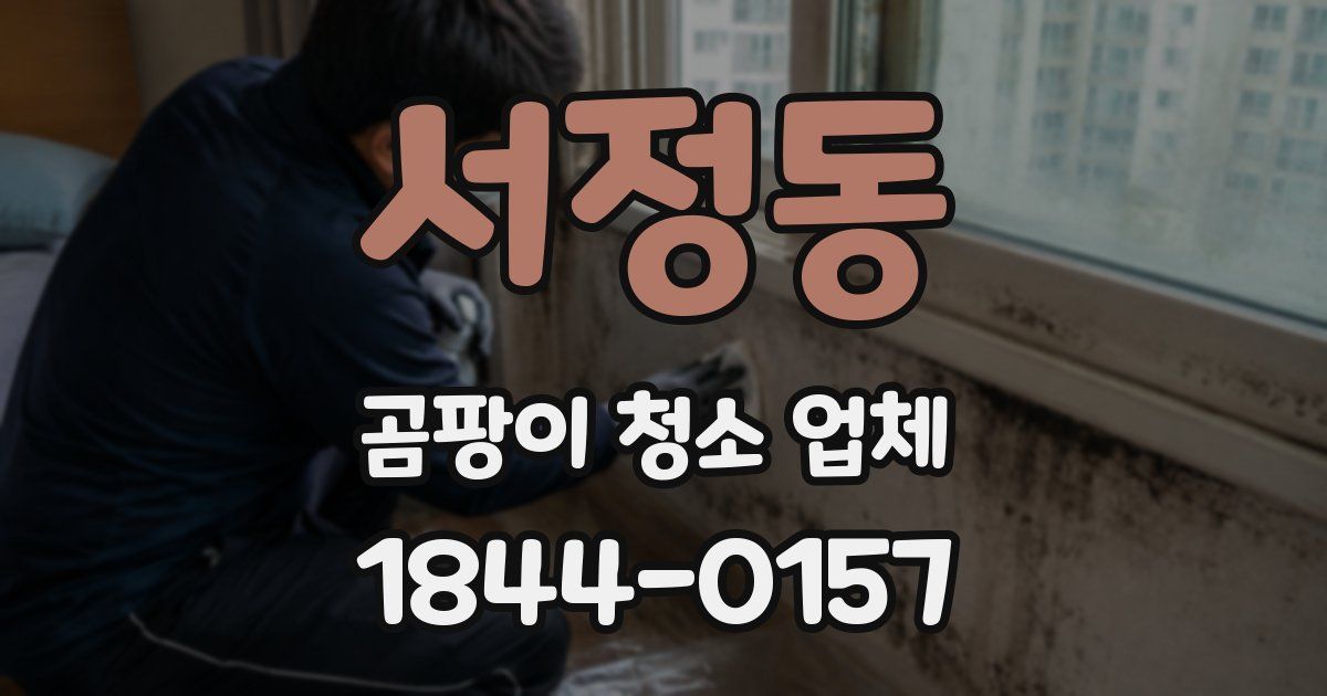 서정동 곰팡이 청소 업체