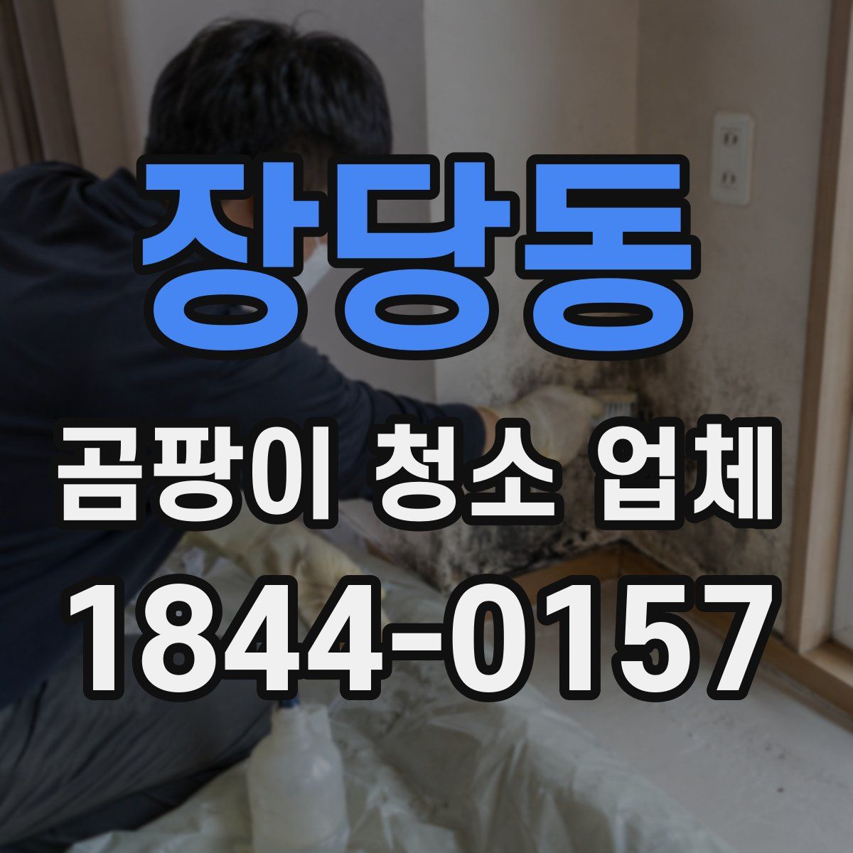 장당동 곰팡이 청소 업체