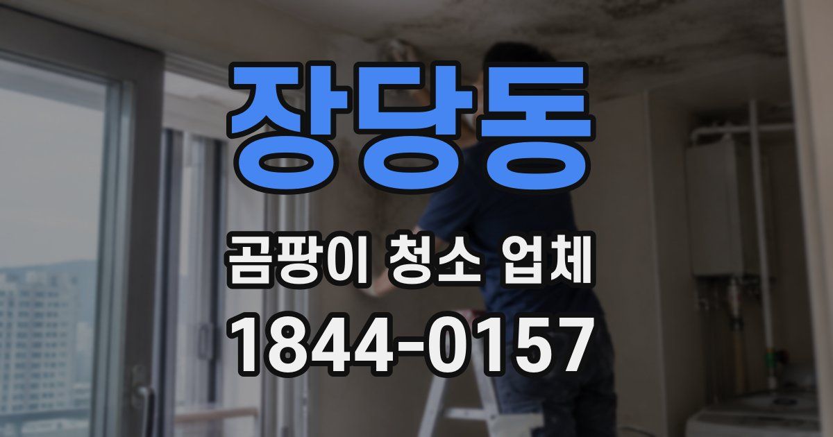장당동 곰팡이 청소 업체