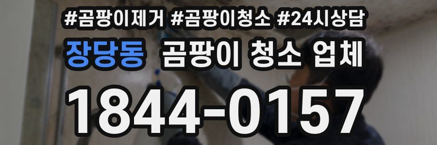 장당동 곰팡이 청소 업체