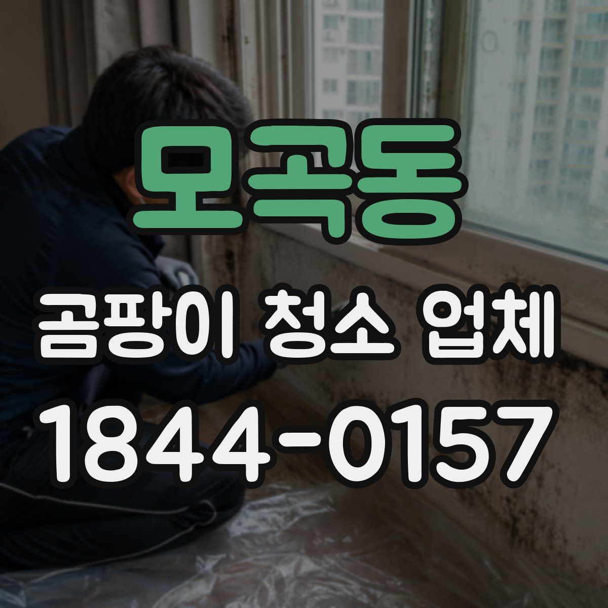 모곡동 곰팡이 청소 업체