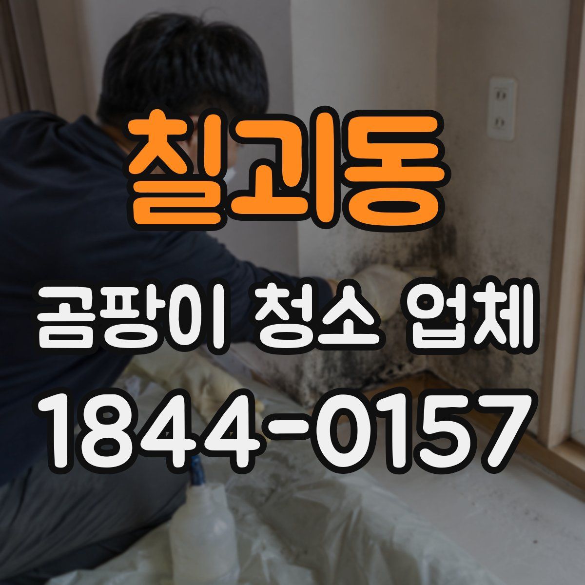 칠괴동 곰팡이 청소 업체