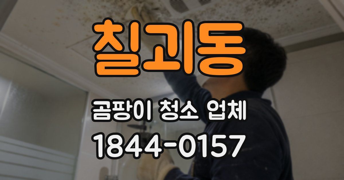 칠괴동 곰팡이 청소 업체
