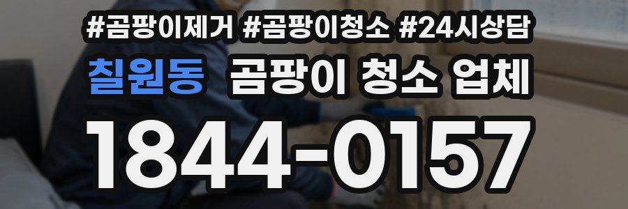 칠원동 곰팡이 청소 업체
