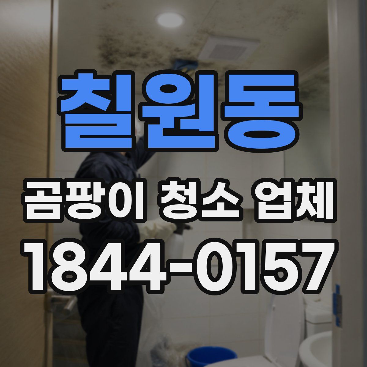 칠원동 곰팡이 청소 업체