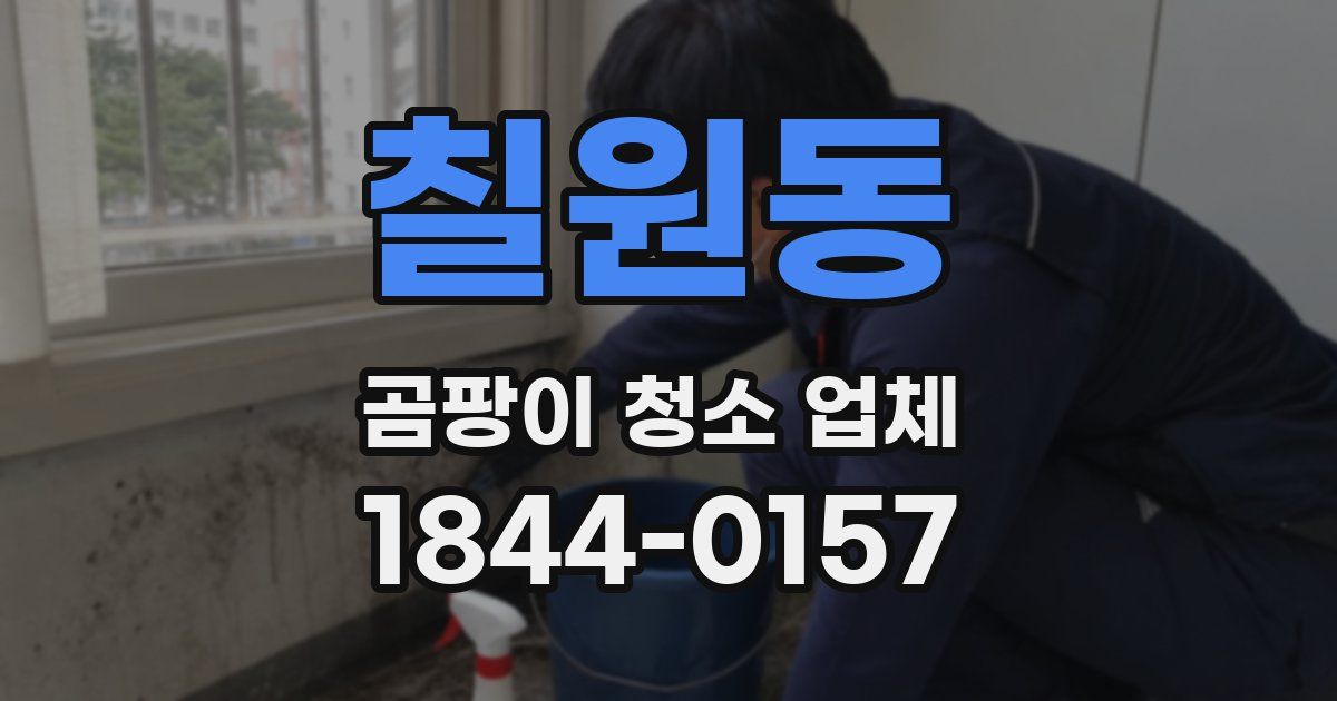 칠원동 곰팡이 청소 업체