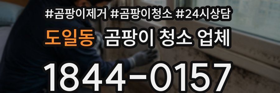 도일동 곰팡이 청소 업체
