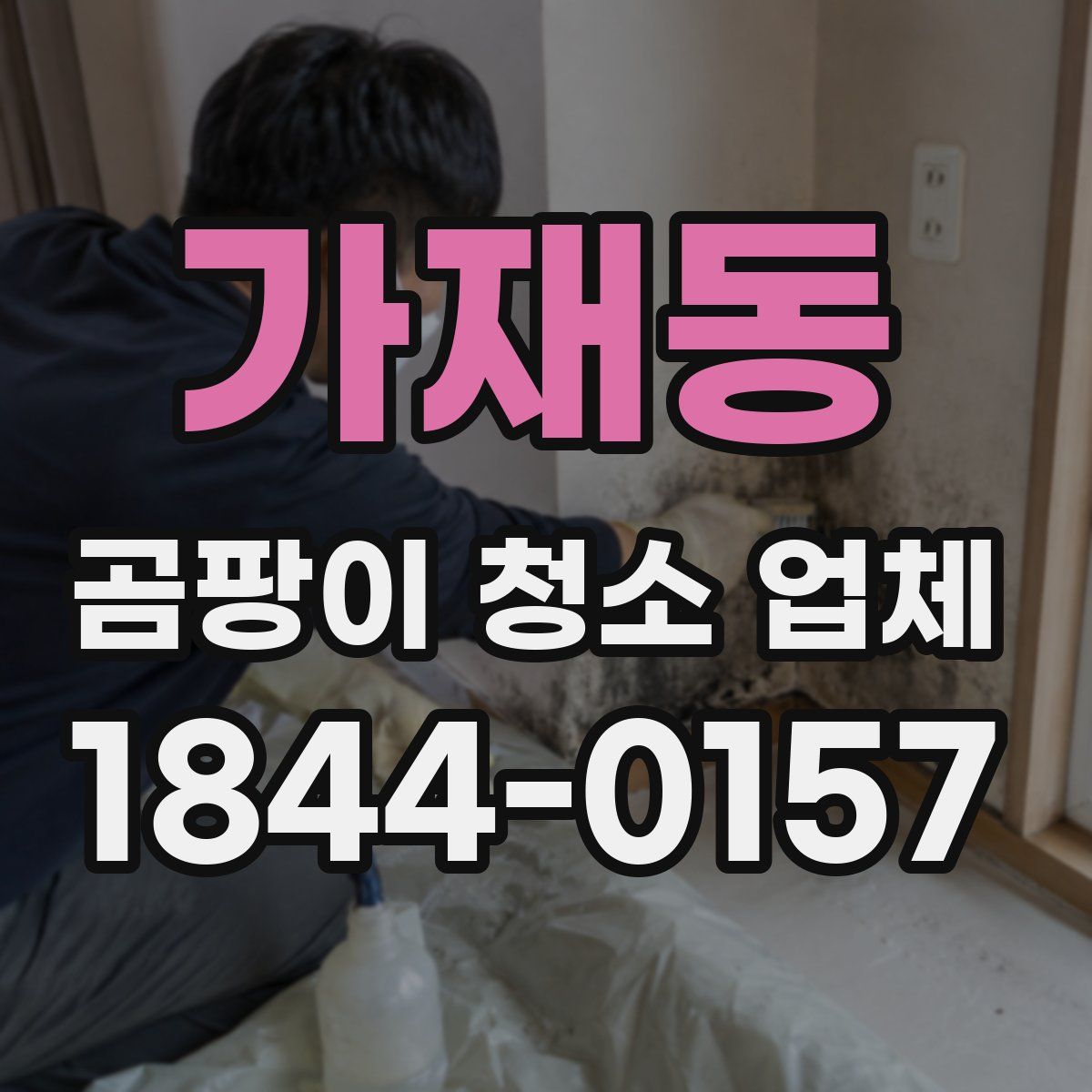 가재동 곰팡이 청소 업체