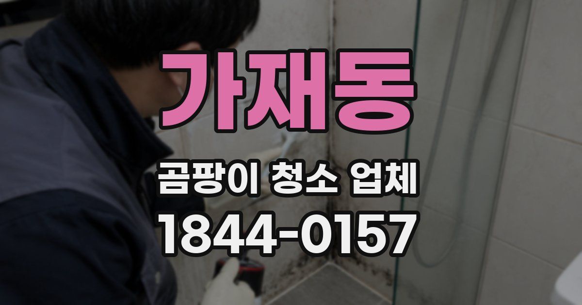 가재동 곰팡이 청소 업체