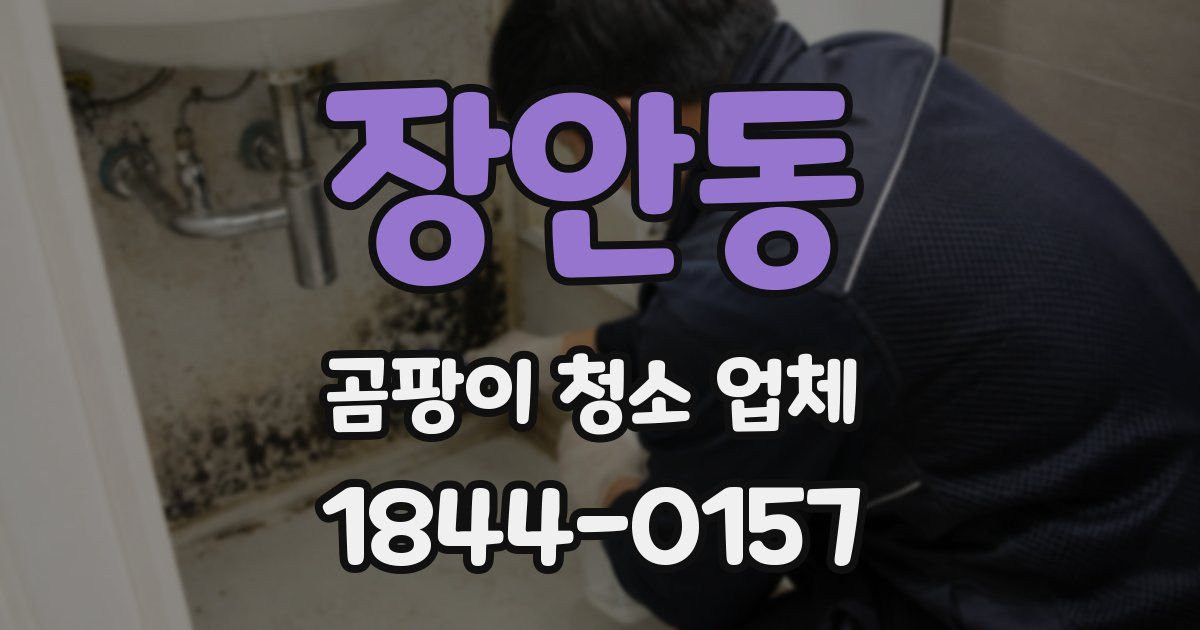 장안동 곰팡이 청소 업체