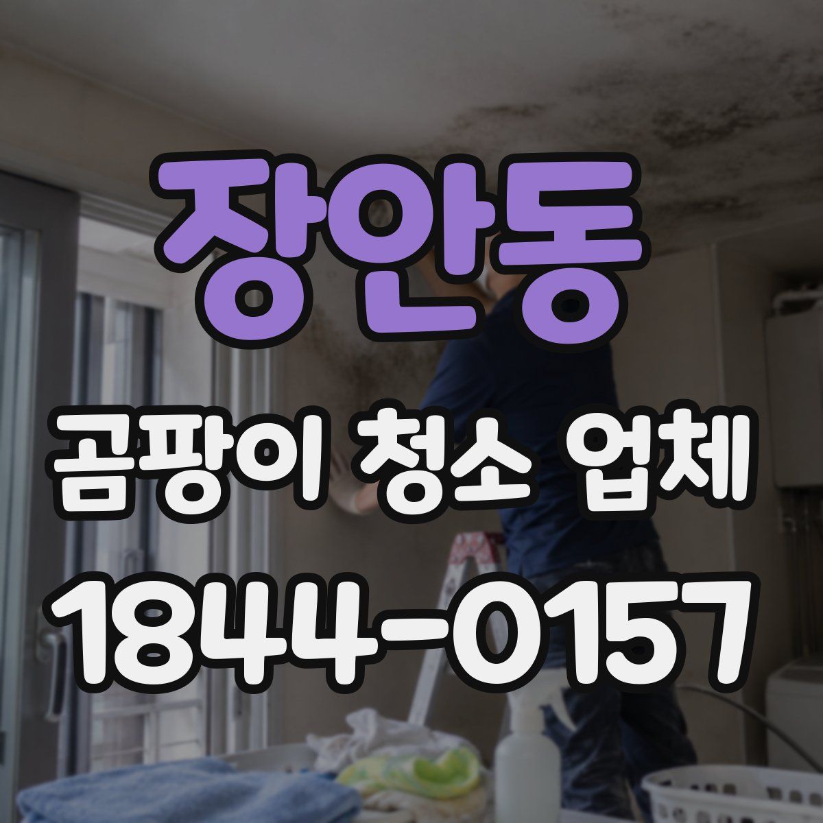 장안동 곰팡이 청소 업체