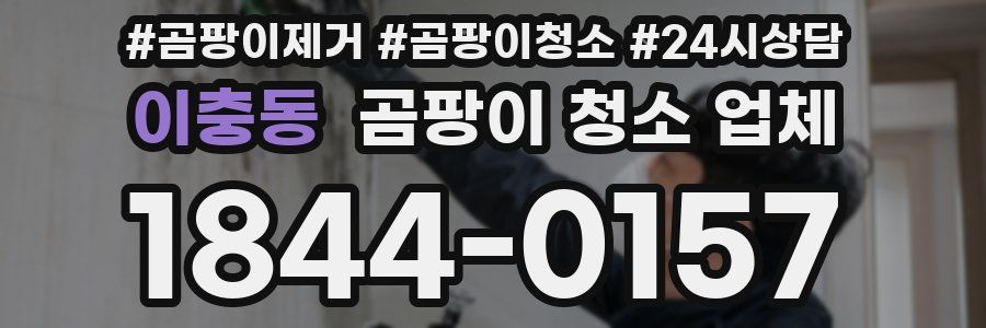 이충동 곰팡이 청소 업체
