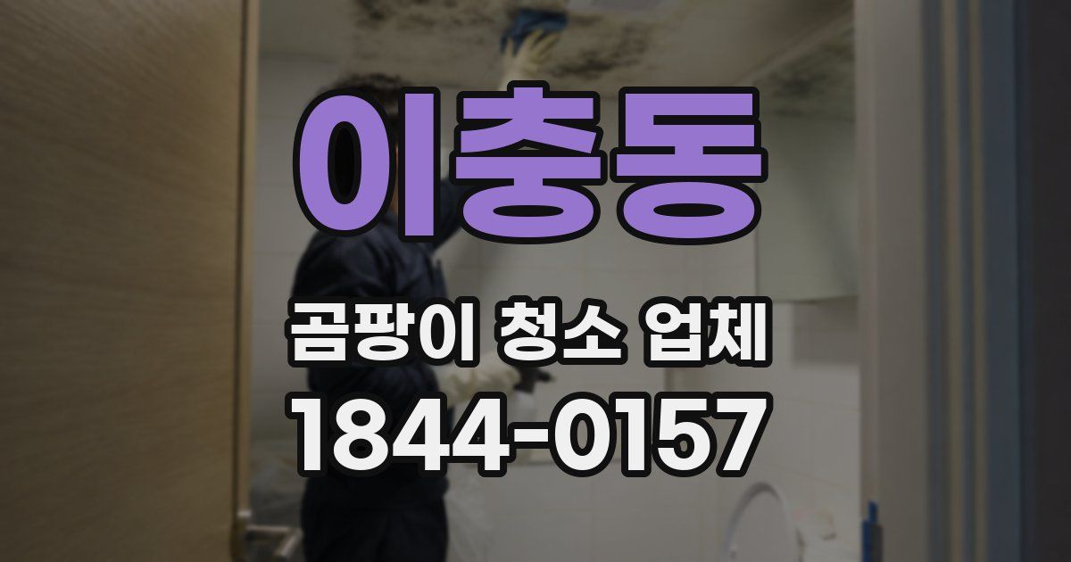 이충동 곰팡이 청소 업체