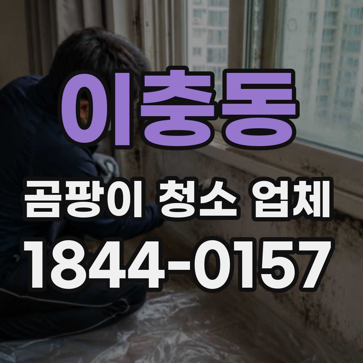 이충동 곰팡이 청소 업체