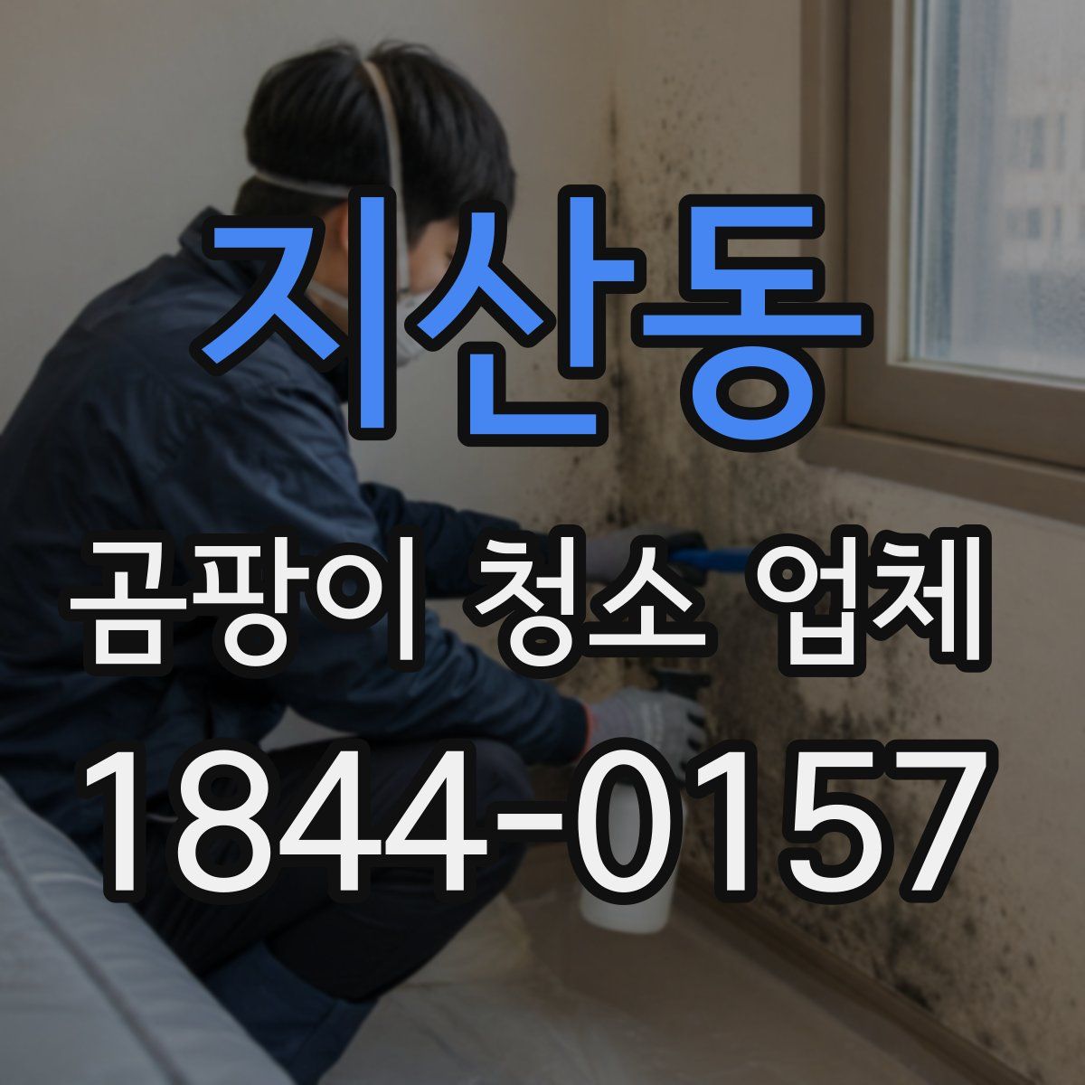 지산동 곰팡이 청소 업체