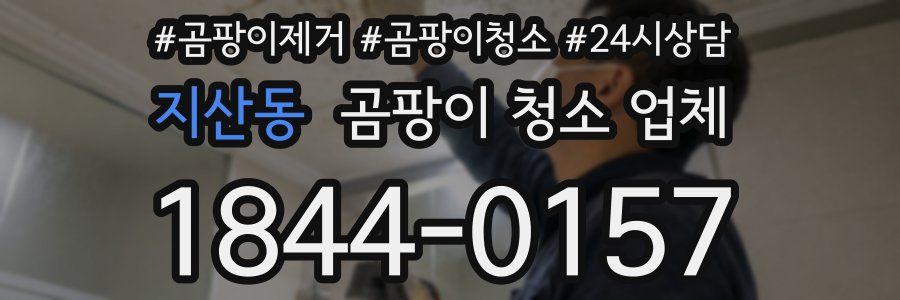 지산동 곰팡이 청소 업체