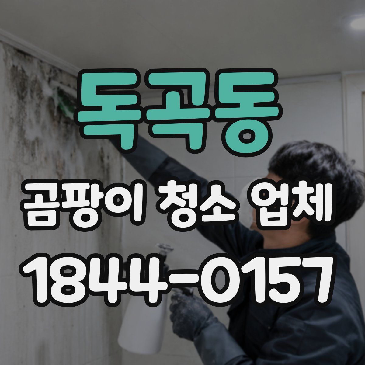 독곡동 곰팡이 청소 업체