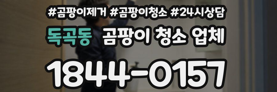 독곡동 곰팡이 청소 업체