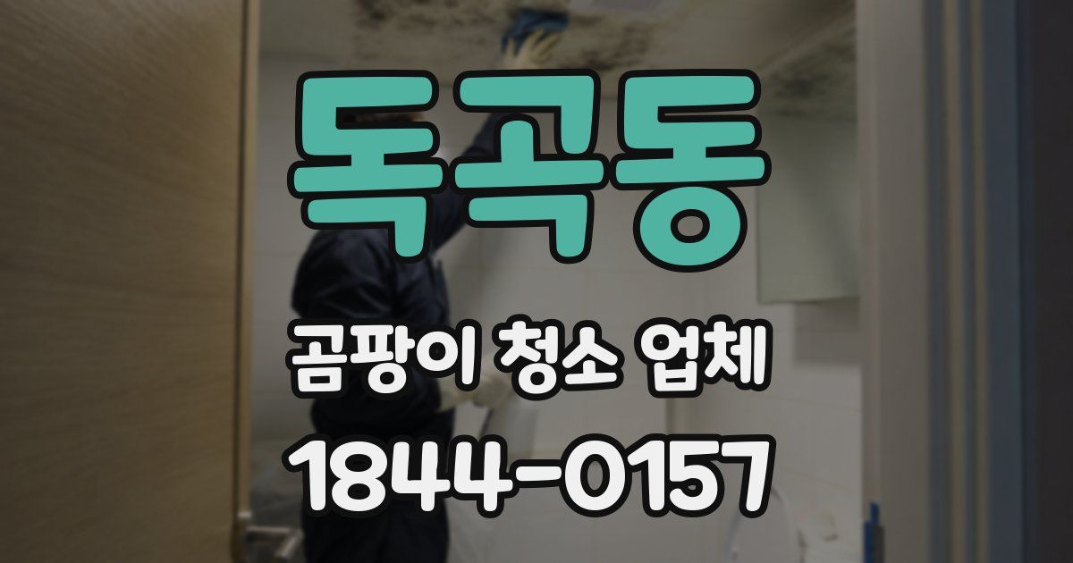 독곡동 곰팡이 청소 업체