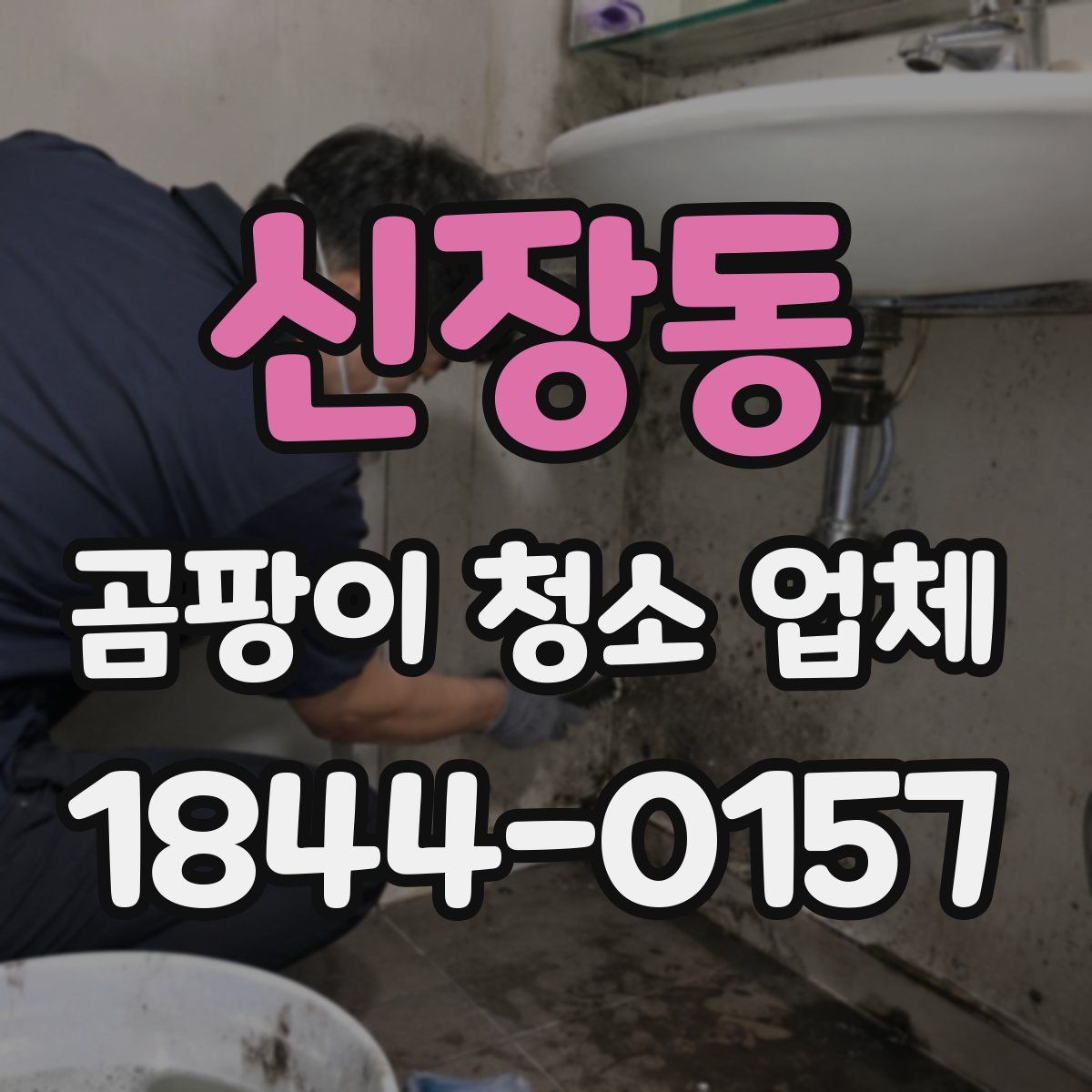 신장동 곰팡이 청소 업체