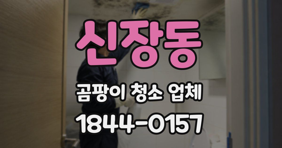 신장동 곰팡이 청소 업체