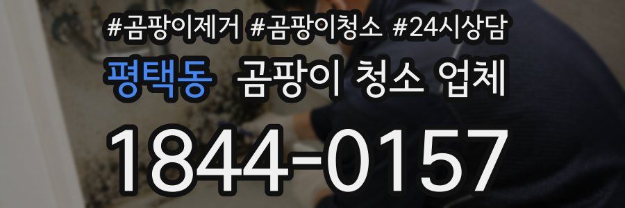 평택동 곰팡이 청소 업체