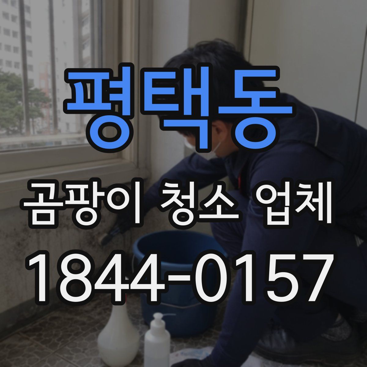 평택동 곰팡이 청소 업체