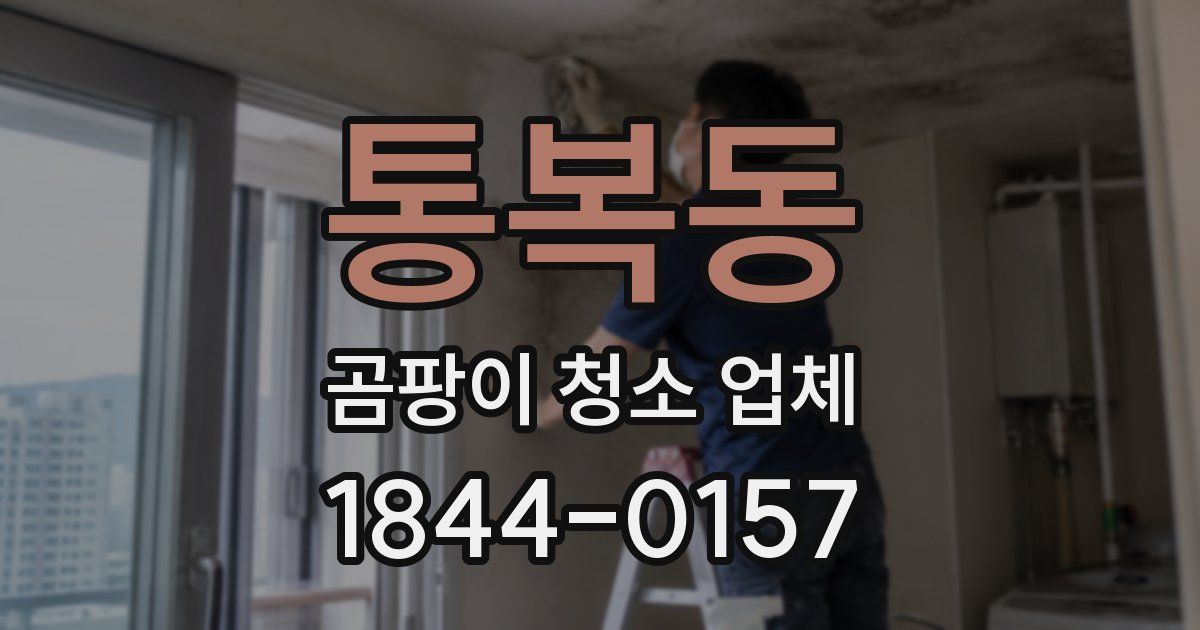 통복동 곰팡이 청소 업체